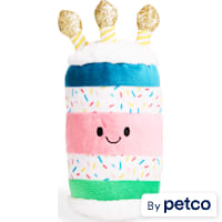 YOULY Birthday Cake Plush Dog Toy