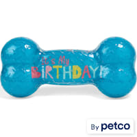 YOULY Birthday Bone TPR Dog Toy