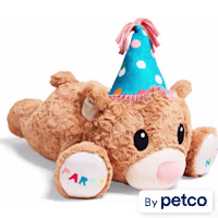 YOULY Birthday Jumbo Snuggle Dog Toy