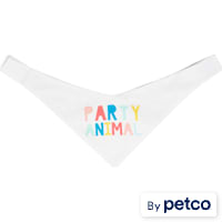 YOULY Birthday Reversible Cat Bandana
