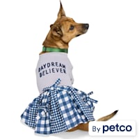 YOULY Daydream Believer Pet Dress