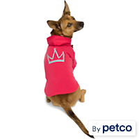 YOULY Crown Pet Hoodie