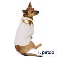YOULY Crown Pet Sweater