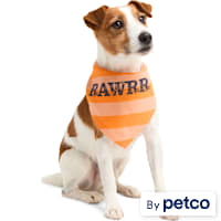 YOULY Rawrr Pet Bandana