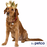 YOULY Crown Dog Hat