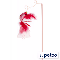 Leaps & Bounds Red Bird Cat Teaser Toy