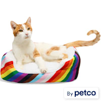 EveryYay Essentials Pride Rainbow Rectangle Cat Bed
