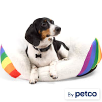EveryYay Essentials Pride Oval Cuddler Dog Bed