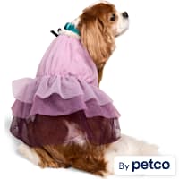 YOULY Ruffle Dress for Dogs