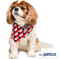 YOULY Stars and Stripes Dog Bandana