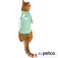 YOULY Dream Big Cat T-Shirt