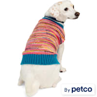 YOULY Multicolor Striped Pet Sweater