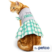 YOULY I'm the Favorite Cat Dress