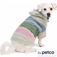 YOULY Bear Ears Striped Pet Hoodie