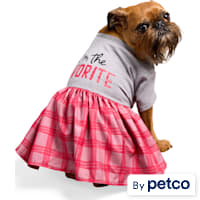 YOULY I'm the Favorite Plaid Pet Dress