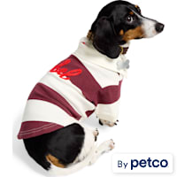 Reddy Rugby Striped Rebel Pet T-Shirt