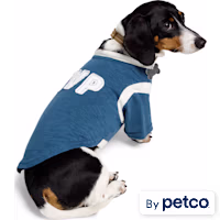 Reddy MVP Pet T-Shirt