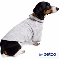 Reddy Grey Textured Pet T-Shirt