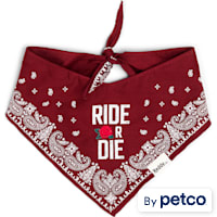Reddy Ride or Die Pet Bandana