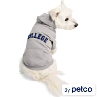 Reddy College Pet Hoodie