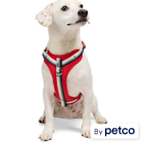 YOULY Comfort Neoprene Dog Harness