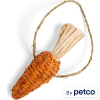 EveryYay Carrot-Shaped Small Animal Hay Chew Toy