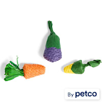 EveryYay Veggie-Shaped Small Animal Chew Toys