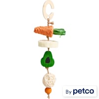EveryYay Veggie Skewer-Shaped Small Animal Chew Toy