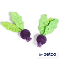 EveryYay Turnip-Shaped Small Animal Chew Toys
