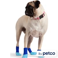 YOULY Colorblock Socks for Dogs