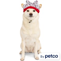 YOULY Leopard Print Dog Hat