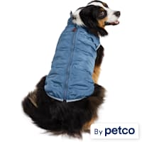 Reddy Quilted Puffer Dog Vest