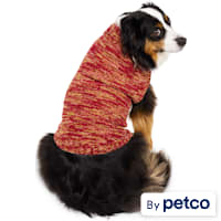 Reddy Space Dye Pet Sweater