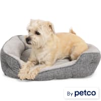 EveryYay Snooze Fest Grey Rectangle Nester Box Dog Bed