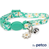 YOULY Daisy Breakaway Kitten Collar