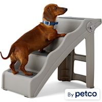 EveryYay Folding Plastic Pet Steps