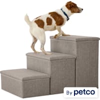 EveryYay Collapsible Pet Steps