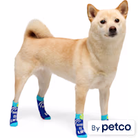 YOULY Ball Is Life Dog Socks