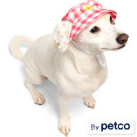 YOULY Gingham Flower Bucket Pet Hat