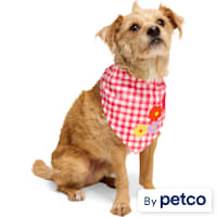 YOULY Gingham Dog Bandana