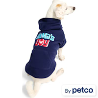 YOULY Mama's Boy Pet Hoodie