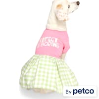 YOULY Perfect Is Boring Pet Dress
