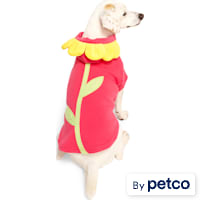 YOULY Flower Character Pet Hoodie