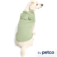 YOULY Teddy Bear Ears Pet Sweater