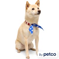 YOULY American Flag Tie Dog Bandana
