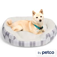 EveryYay Essentials Oval Cuddler Pet Bed