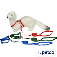 You & Me Deluxe Ferret Harness & Lead Set