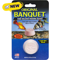 Zoo Med Original Banquet Feeding Block