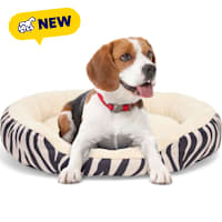 Petco Zebra Stripe Bolster Dog Bed