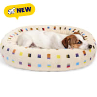 Petco Color-Block Dot Round Dog Bed